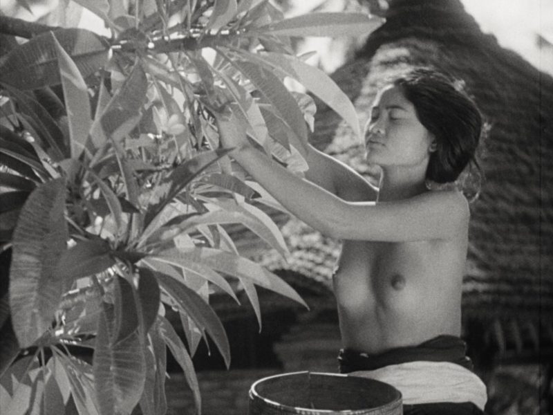 Image 23-8-25 at 9.39 AM